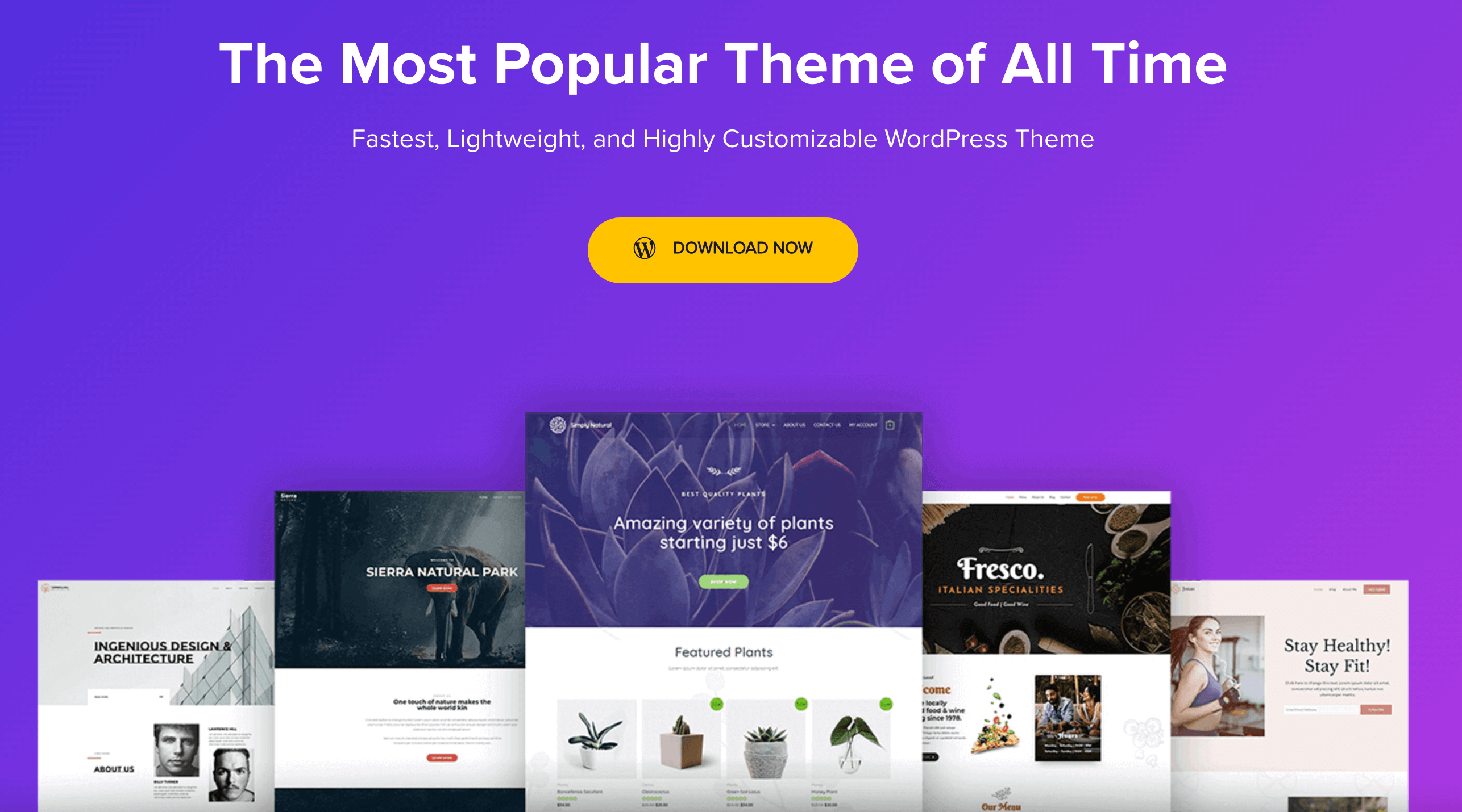 Das Astra Theme für WooCommerce.