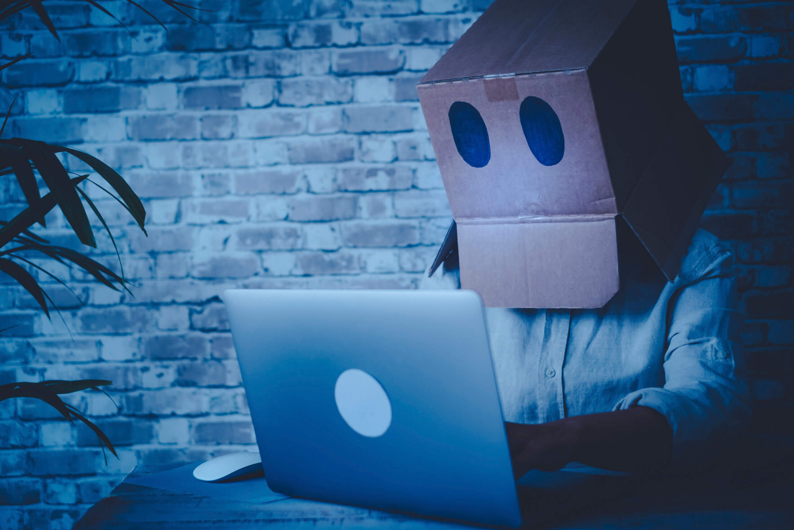 WordPress gehackt - was du jetzt tun kannst