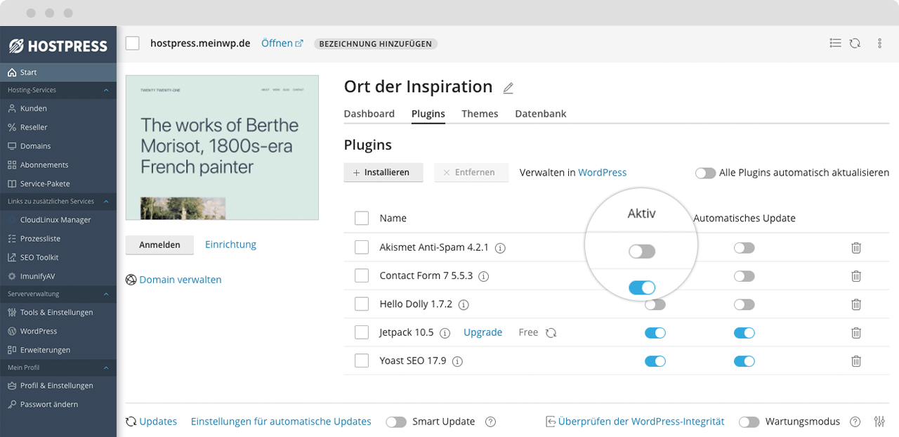 Plugins in der Übersicht im ControlPanel Plesk